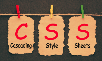 Mastering CSS: Essential Concepts for Web Design
